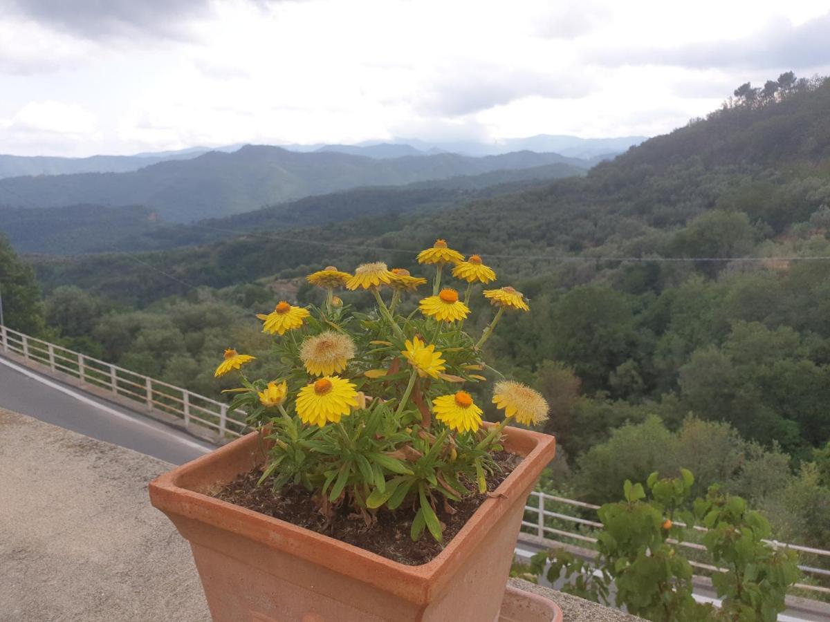 Bed & Breakfast Ca' Di Vissai Arnasco Kültér fotó