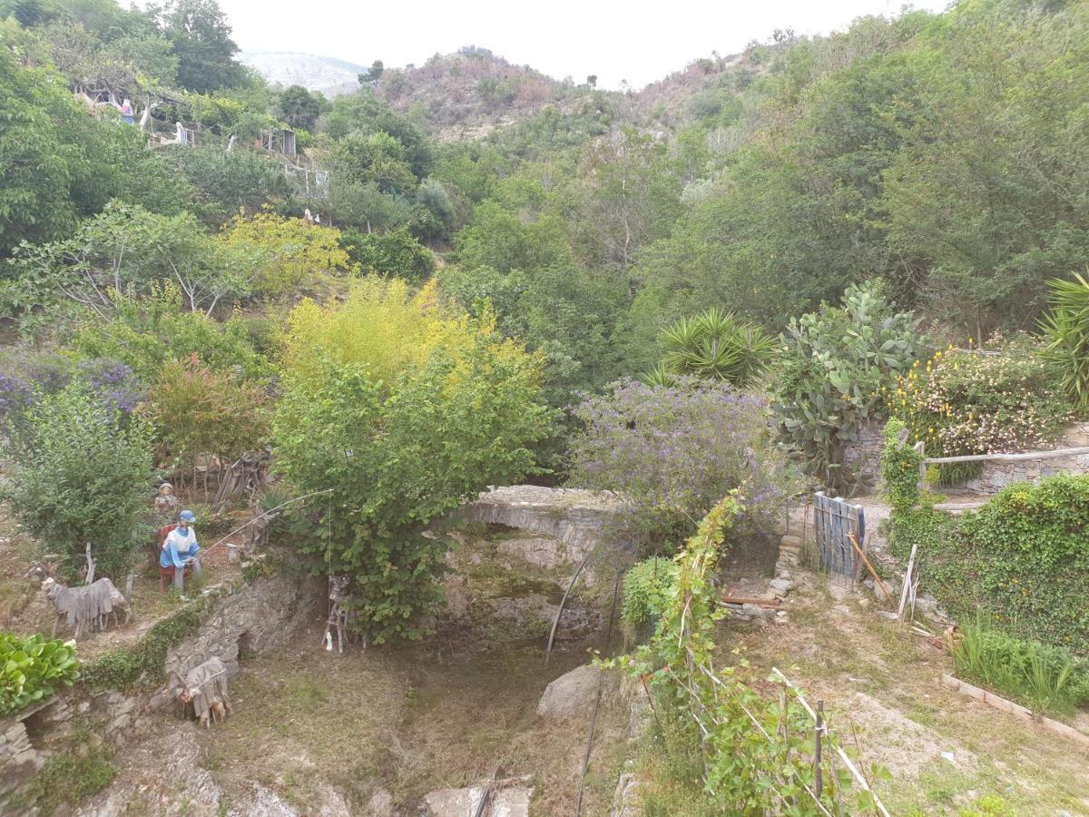 Bed & Breakfast Ca' Di Vissai Arnasco Kültér fotó
