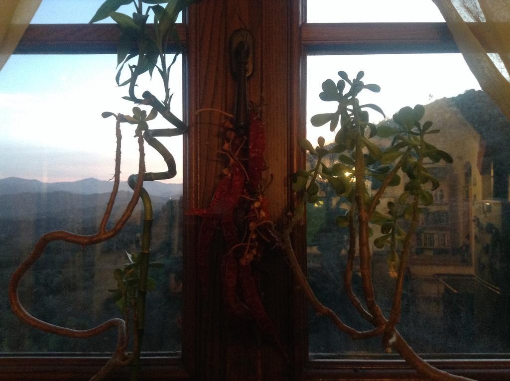 Bed & Breakfast Ca' Di Vissai Arnasco Kültér fotó