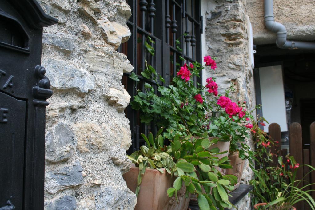 Bed & Breakfast Ca' Di Vissai Arnasco Kültér fotó