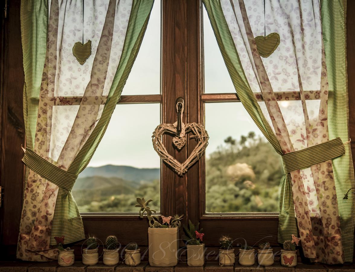 Bed & Breakfast Ca' Di Vissai Arnasco Kültér fotó